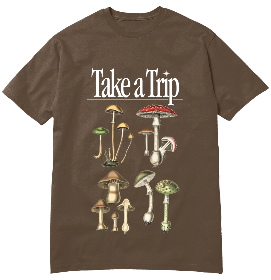 Take A Trip T-Shirt Brown